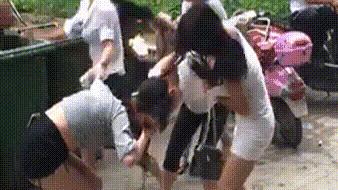 (50张最新动态图)哎呀,你们不要打了,不要打了。